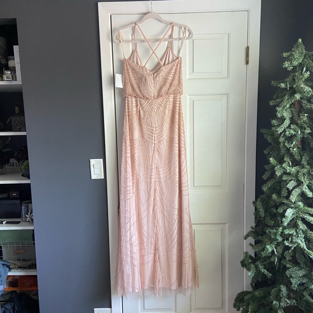NWT Adrianna Papell Blush Blouson Dress Size 10